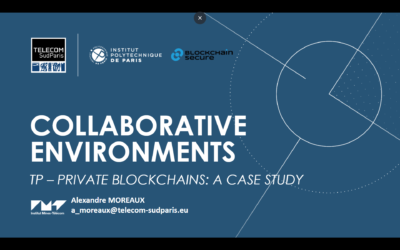 The Architecture of Private Blockchains: Collaborative Environment 101